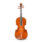 Andreas Eastman VA405 Viola