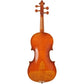 Andreas Eastman Master VL906 Violin