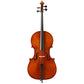 Samuel Eastman VC100 Cello