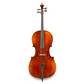 Andreas Eastman VC305 Cello