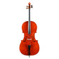 Giovanni Viotti GV-800 Cello-Front