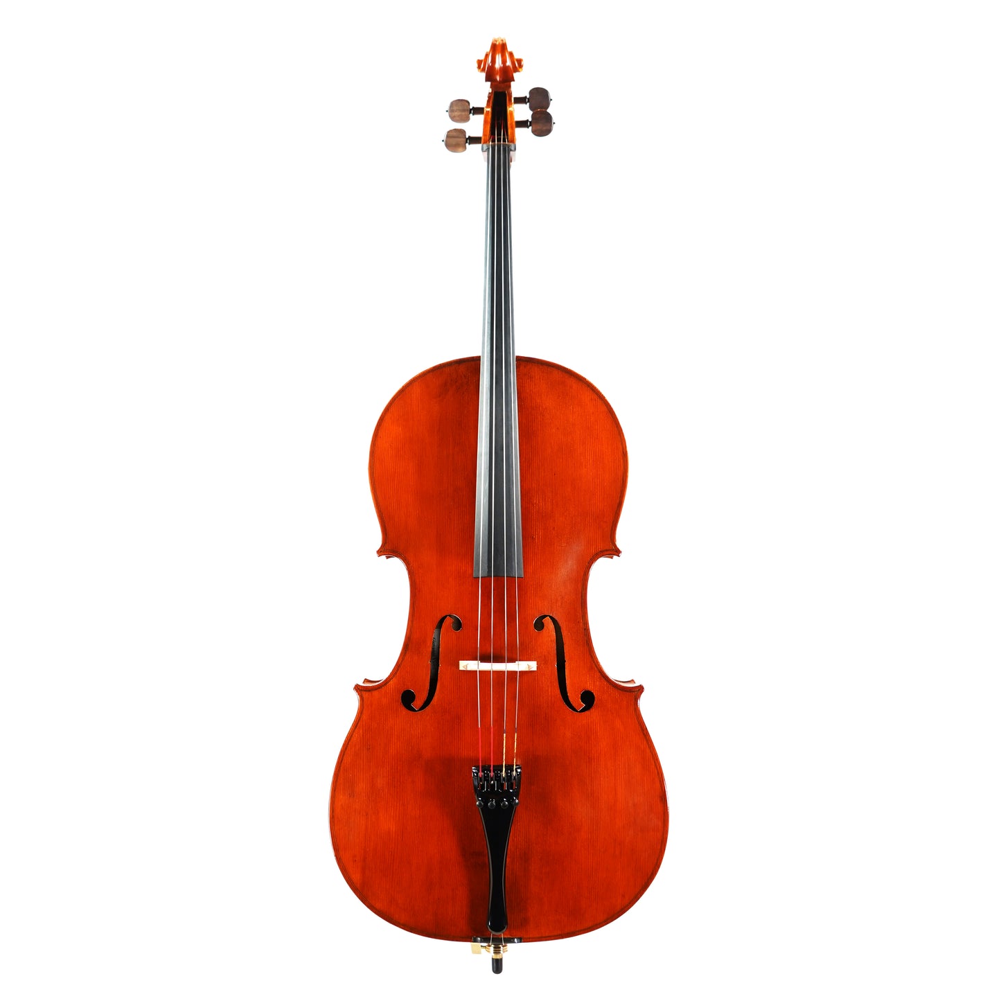 Giovanni Viotti GV-800 Cello-Front