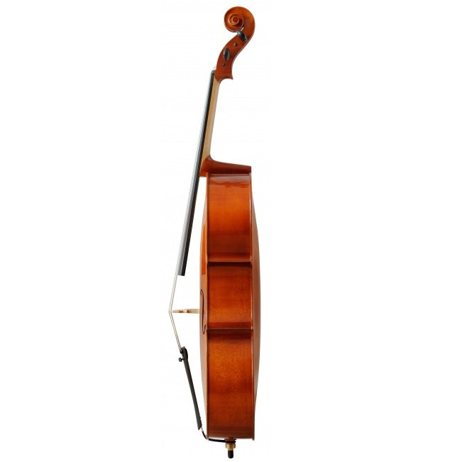 Samuel Eastman VC100 Cello