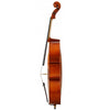 Samuel Eastman VC100 Cello price