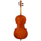 buy Andreas Eastman VC200 Cello