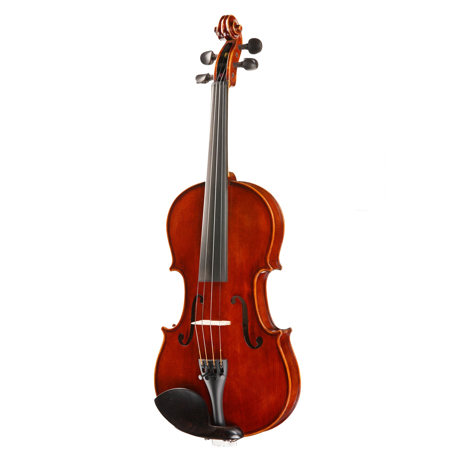 Beginner Violin